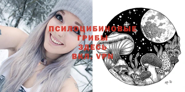 МДПВ Арсеньев