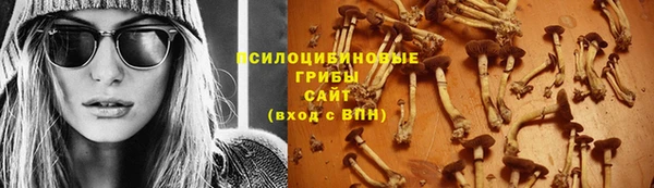 шишки Новочеркасск